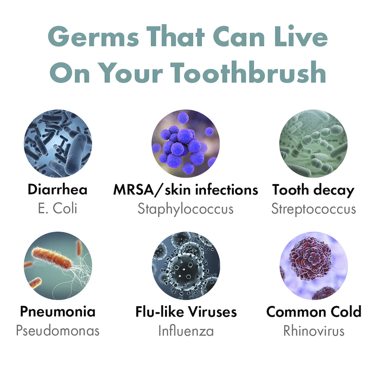Graphic showing different types of germs that can live on a toothbrush