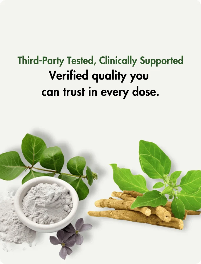 Ingredients & Formula Quality