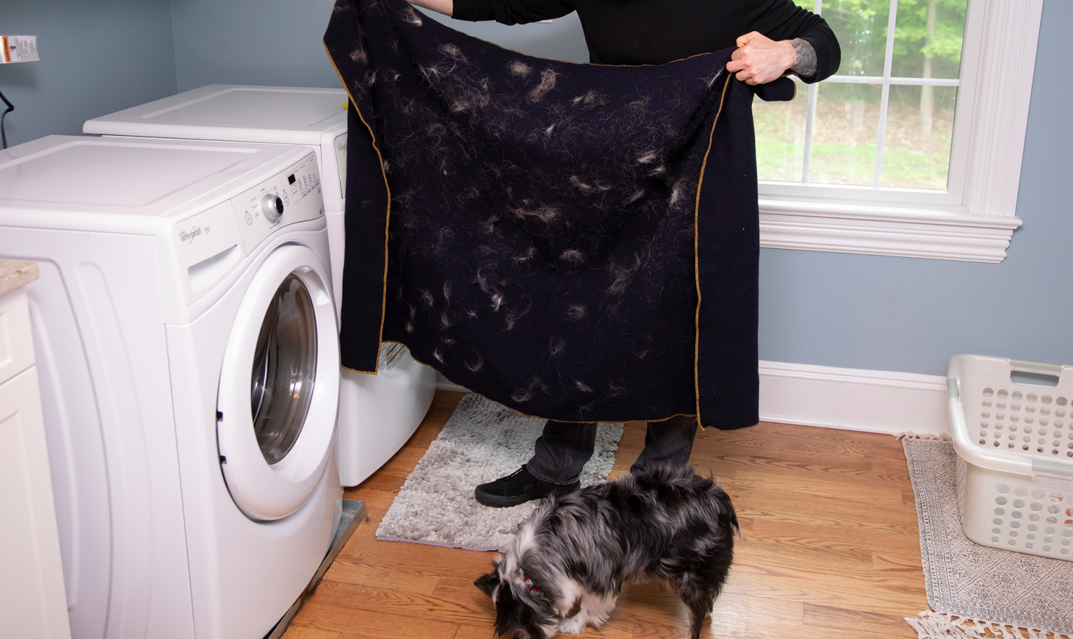 FurZapper Review: Does This Laundry Disc Really Remove All Pet Hair?