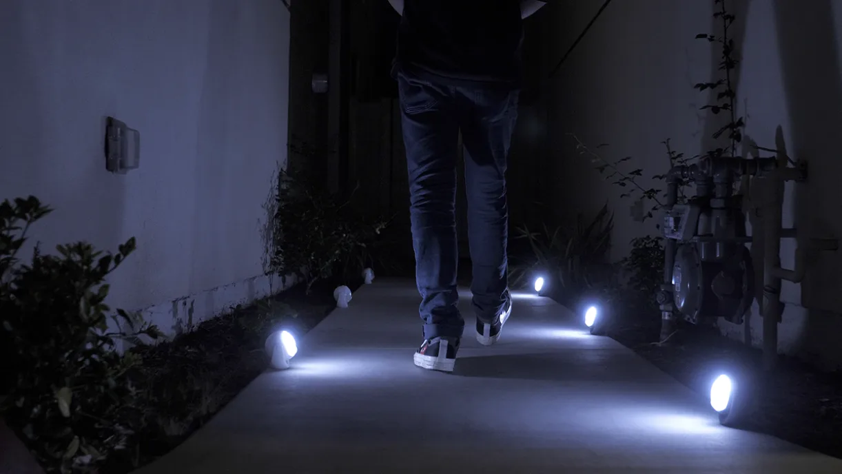 Pathway at night illuminated by multiple Lumenology lights