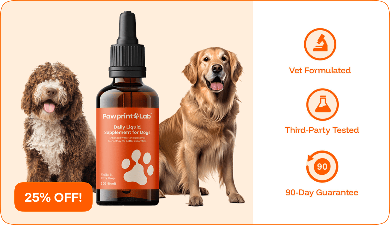 A bottle of Pawprint Lab dog supplement with two dogs and product benefit icons