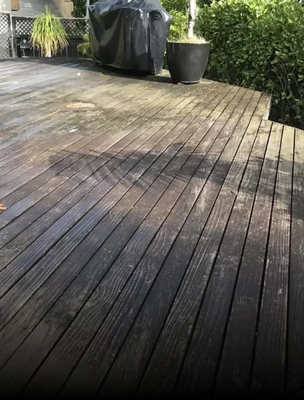 Surface before cleaning with the Synoshi Pro