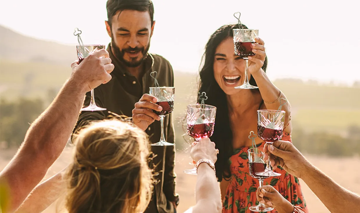 Group of people toasting with glasses of red wine outdoors